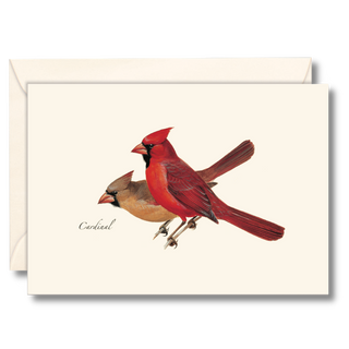 Cardinal image 0
