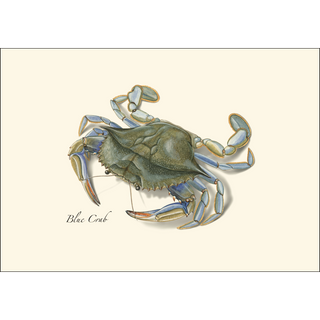 Blue Crab image 1