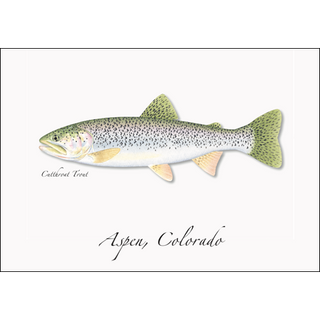 Cutthroat Trout image 0