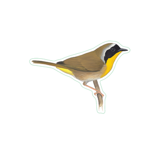 Common Yellowthroat image 1