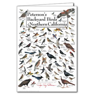 Peterson's Backyard Birds of Northern California - Poster Card image 0