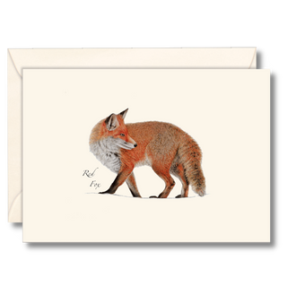 Red Fox image 0