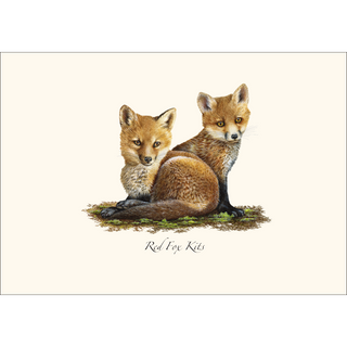 Red Fox Kits -NEW- image 1
