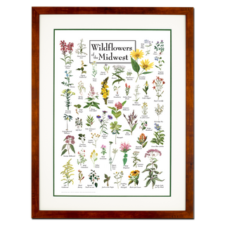 Wildflowers of the Midwest - Double matted honey frame image