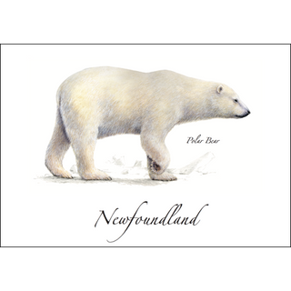 Polar Bear image 0