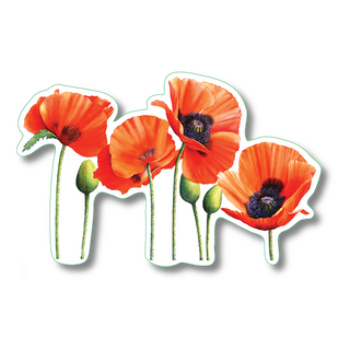 Poppies image 0