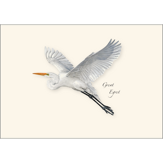 Egret Assortment image 1