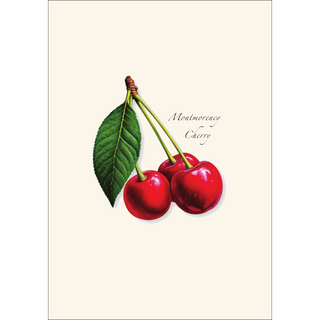 Montmorency Cherry -NEW- image 1