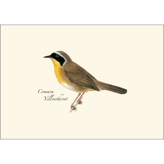 Peterson Warbler  Assortment image 1