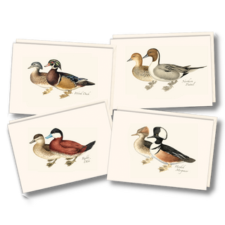 Duck Assortment image 0