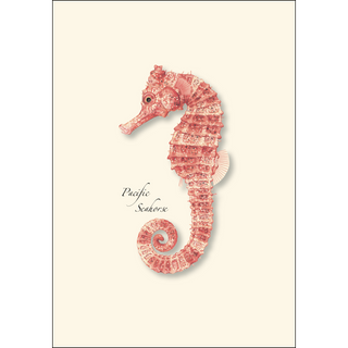 Pacific Seahorses image 1