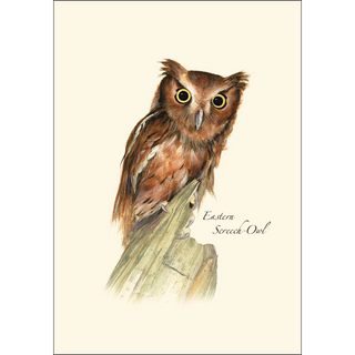 Owl Assortment image 1