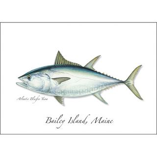 Bluefin Tuna image 0