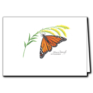 Monarch on Goldenrod image 0