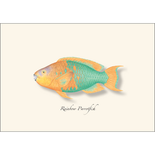 Caribbean Fish Assortment image 3