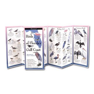 Birds of Florida's Gulf Coast image 1