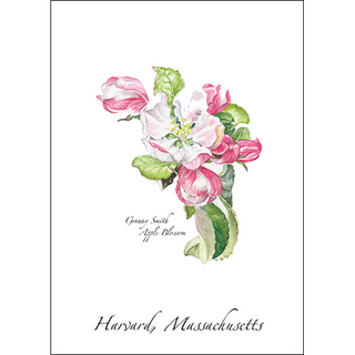Granny Smith Blossom image 0