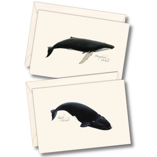 Whale Assortment image 0