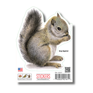 Gray Squirrel I image 1