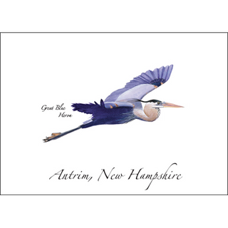 Great Blue Heron in Flight image 0
