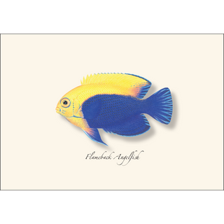 Caribbean Fish Assortment image 2