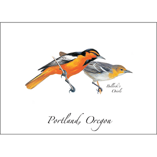 Bullock's Oriole image 0