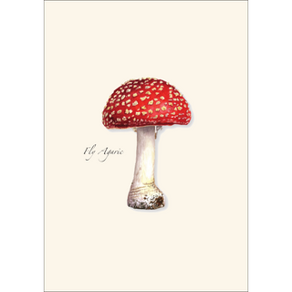 Fly Agaric Mushroom -NEW- image 1