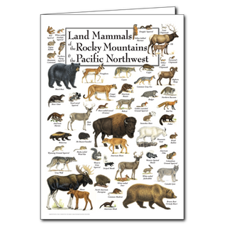 Land Mammals of the Rocky Mountains & the Pacific Northwest - Poster Card image 0