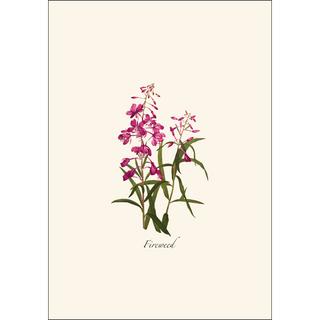 Western Wildflower Assortment image 1