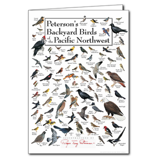 Peterson's Backyard Birds of the Pacific Northwest - Poster Card image 0