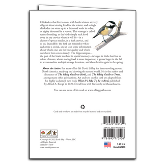 Sibley's Chickadees image 1