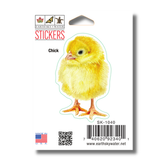 Chick image 1