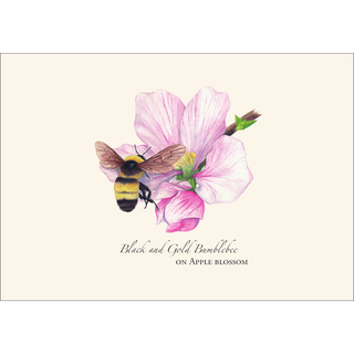 Spring Bee Assortment image 2