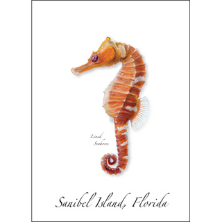 Seahorse image 0