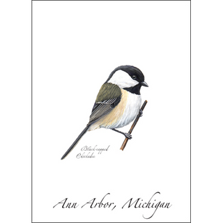Black-capped Chickadee image 0