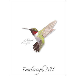 Ruby-throated Hummingbird image 0