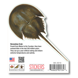 Horseshoe Crab image 1