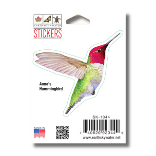 Anna's Hummingbird image 1