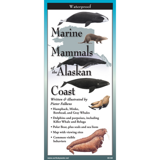 Marine Mammals of the Alaskan Coast image 0