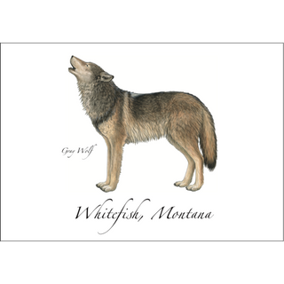 Gray Wolf image 0