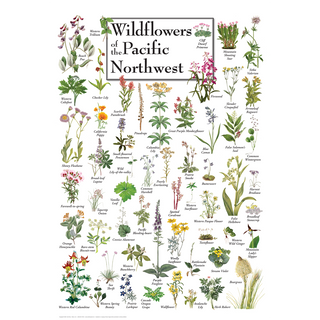 Wildflowers of the Pacific Northwest image 0