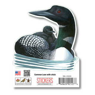 Common Loon image 1