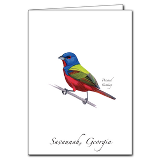 Painted Bunting image 0