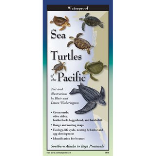 Sea Turtles of the Pacific Coast image 0