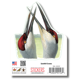 Sandhill Cranes image 1