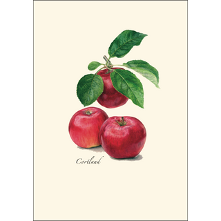 Heirloom Apple Assortment image 1
