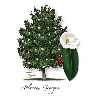 Magnolia image 0