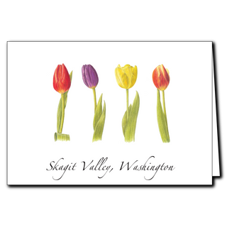 Tulips image 0