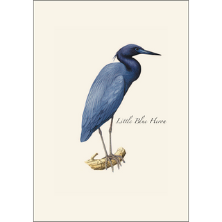 Heron  Assortment image 2