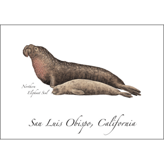 Northern Elephant Seal image 0
